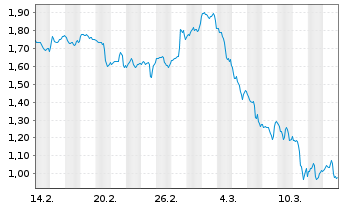 Chart Mini Future Long Visa - 1 Monat