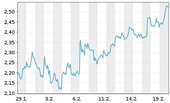 Chart Mini Future Short Amazon - 1 Monat