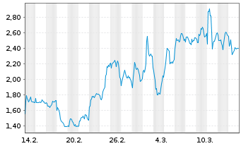 Chart Mini Future Long Volkswagen - 1 mois