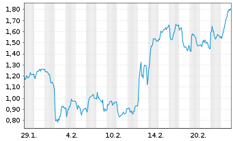 Chart Mini Future Long BMW - 1 mois