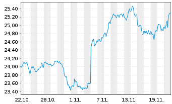 Chart Amu.S&P 500 CL.N.Z.AMB.P USD - 1 Monat