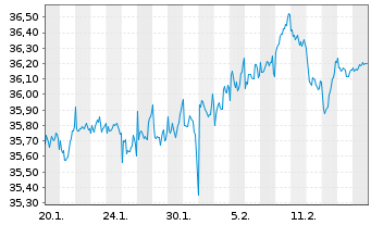 Chart WisdomTree Foreign Exchan. Ltd MSFX Long NOK - 1 Month