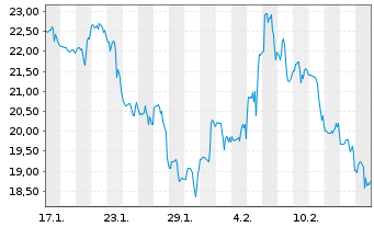 Chart Amentum Holdings Inc. - 1 Monat