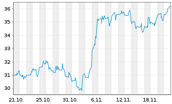 Chart Bristow Group Inc. - 1 Monat