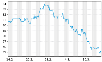 Chart CSG Systems Internatl Inc. - 1 mois