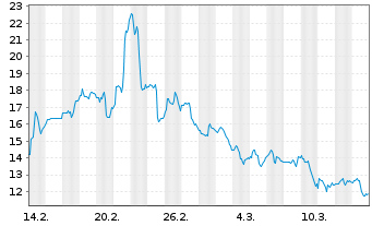 Chart Pony AI Inc. - 1 Monat