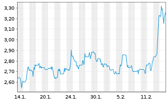 Chart Rimini Street Inc. - 1 mois