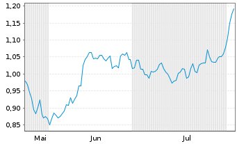 Chart Mini Future Short Volkswagen - 6 mois