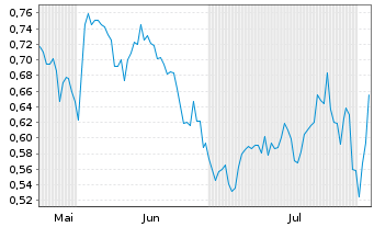 Chart Mini Future Short Shell - 6 mois