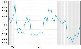 Chart Mini Future Long Chevron - 6 Monate