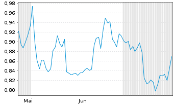 Chart Mini Future Long Chevron - 6 mois
