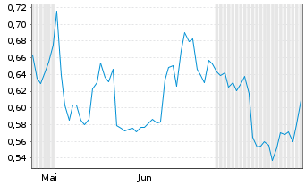 Chart Mini Future Long Chevron - 6 Monate