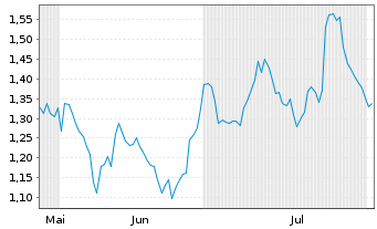 Chart Mini Future Short Visa - 6 Months