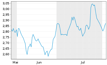 Chart Mini Future Short Visa - 6 Months