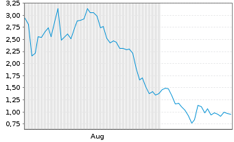 Chart Mini Future Long Canopy - 6 Monate