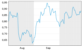 Chart Mini Future Short PVA TePla - 6 Monate