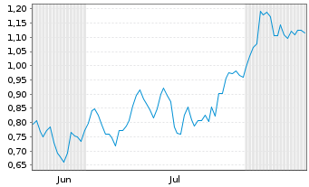 Chart Mini Future Short BASF - 6 mois