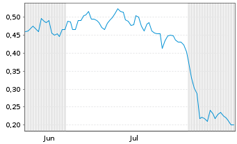 Chart Mini Future Long Volkswagen - 6 mois