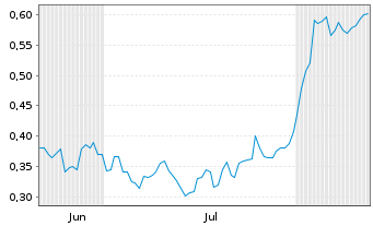 Chart Mini Future Short Volkswagen - 6 Monate