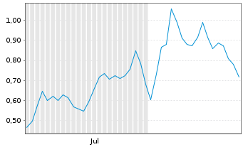 Chart Mini Future Short NVIDIA - 6 Monate