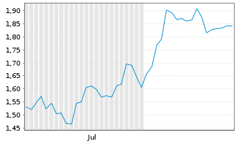 Chart Mini Future Short BYD - 6 Monate