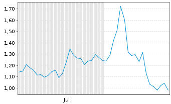 Chart Mini Future Short Palantir - 6 Months