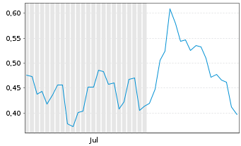 Chart Mini Future Short Xiaomi - 6 mois