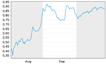 Chart Mini Future Short Cavendish - 6 Monate