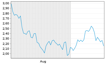 Chart Mini Future Short Block - 6 Monate