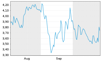 Chart Mini Future Long Volkswagen - 6 Monate