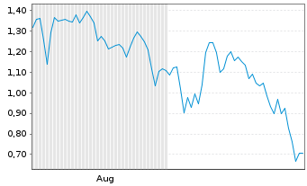 Chart Mini Future Long AMC - 6 mois