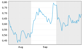 Chart Mini Future Short Shell - 6 mois