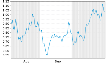 Chart Mini Future Long Marathon Digital Holdings - 6 Monate