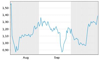 Chart Mini Future Long Puma - 6 Months