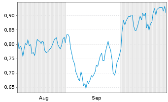 Chart Mini Future Long Chevron - 6 mois