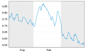 Chart Mini Future Short Chevron - 6 Monate