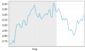 Chart Mini Future Long Block - 6 Months