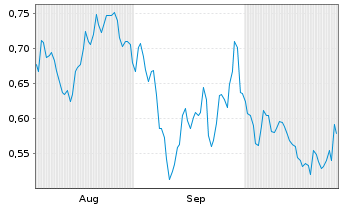 Chart Mini Future Long Volkswagen - 6 mois