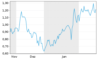 Chart Mini Future Long Snowflake - 6 Months