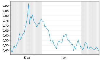 Chart Mini Future Long HealWELL - 6 Months