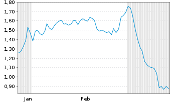 Chart Mini Future Long Visa - 6 Months