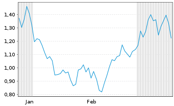 Chart Mini Future Long L Oreal - 6 Monate