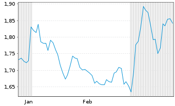 Chart Mini Future Short Chevron - 6 mois