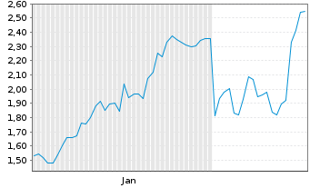 Chart Mini Future Long Volkswagen - 6 Monate