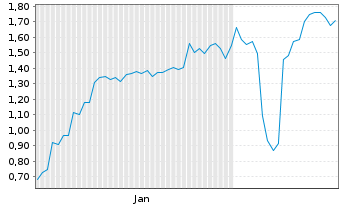 Chart Mini Future Short Canopy - 6 Months