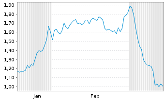 Chart Mini Future Long Visa - 6 Months