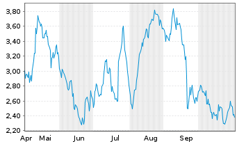 Chart Mini Future Long Volkswagen - 6 Monate