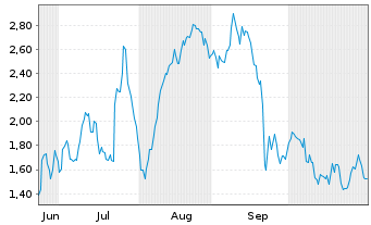 Chart Mini Future Long Volkswagen - 6 Monate