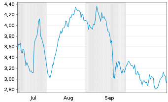 Chart Mini Future Long Volkswagen - 6 Monate