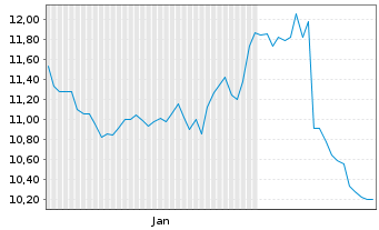 Chart Dun & Bradstreet Holdings Inc - 6 mois